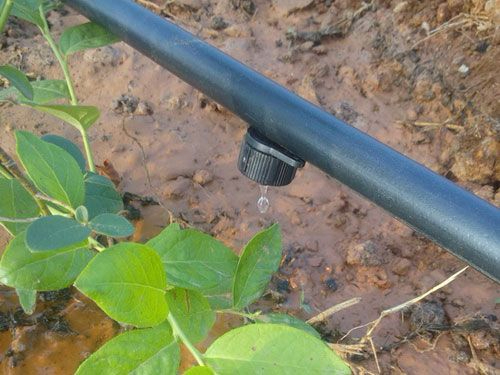 滴灌係(xì)統(tǒng)主要有哪些分(fèn)類(lèi)