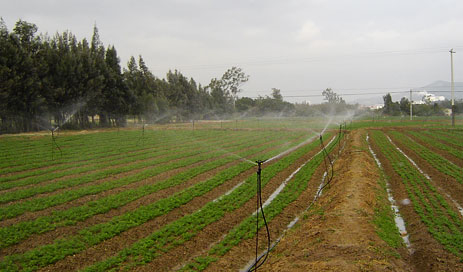 工程案例（lì）